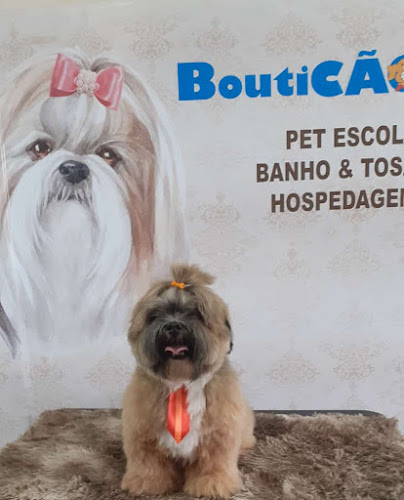 Bouticão Pet Shop Macaé | Banho e Tosa | Filhote Shihtzu | Curso de Banho e Tosa Macaé | Banho Pet