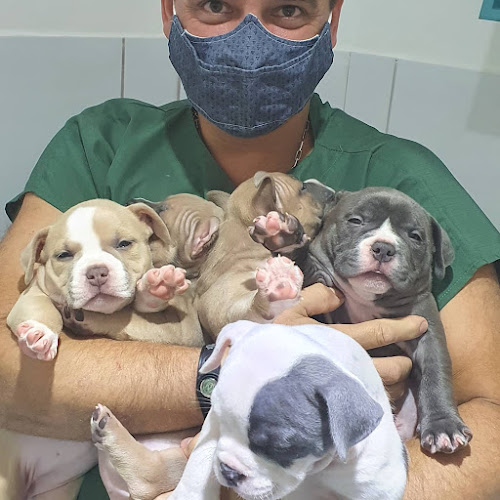 Clínica Cirúrgica Veterinária Cães e Amigos - CCV